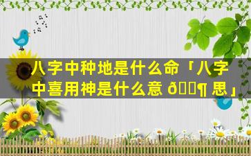 八字中种地是什么命「八字中喜用神是什么意 🐶 思」